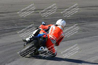 media/Feb-04-2024-SoCal Trackdays (Sun) [[91d6515b1d]]/4-Bowl Backside (11am)/